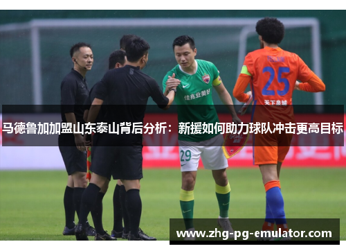马德鲁加加盟山东泰山背后分析:新援如何助力球队冲击更高目标 马德鲁加加盟山东泰山背后分析:新援如何助力球队冲击更高目标