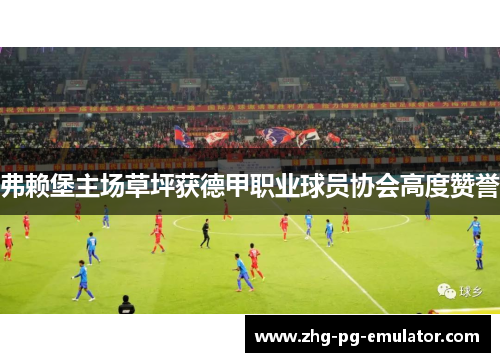 弗赖堡主场草坪获德甲职业球员协会高度赞誉 弗赖堡主场草坪获德甲职业球员协会高度赞誉